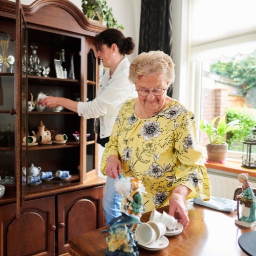 Provincie Friesland - DNZT Thuiszorg