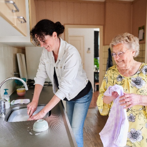 Provincie Friesland - DNZT Thuiszorg
